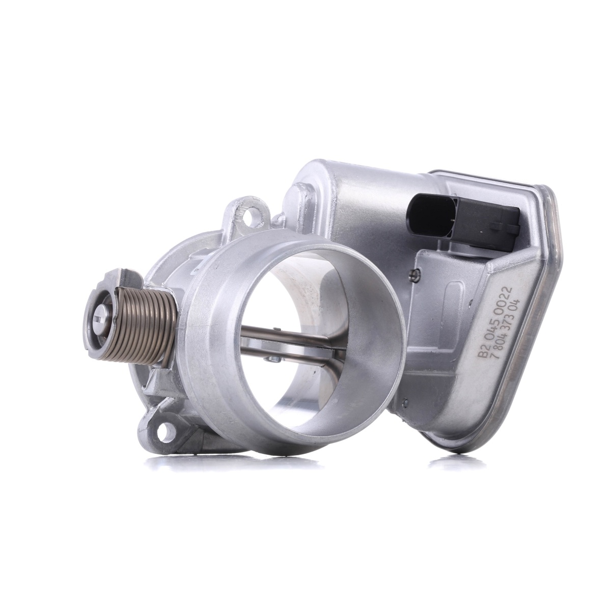 BOĞAZ KELEBEĞİ N47